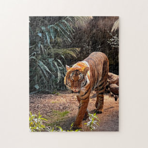 Beautiful Bengal Tiger Jigsaw Puzzle