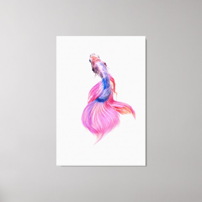 Beautiful Betta Fish Canvas Print (Front)