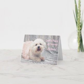 Beautiful Bichon Frise Ballerina Christmas Card