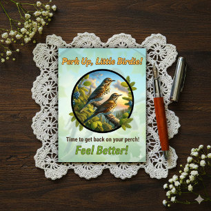 Beautiful Bicknell's Thrush Get Well Postcard