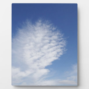 Beautiful, big  cloud plaque