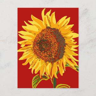 Beautiful big sunflower  holiday postcard