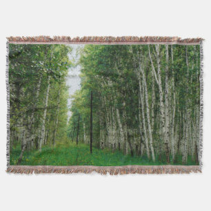 Beautiful Birch Tree Forest Art Throw Blanket