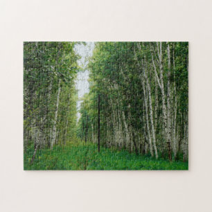 Beautiful Birch Tree Forest Jigsaw Puzzle