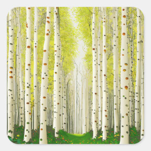 Beautiful Birch Tree Forest Landscape  Square Sticker