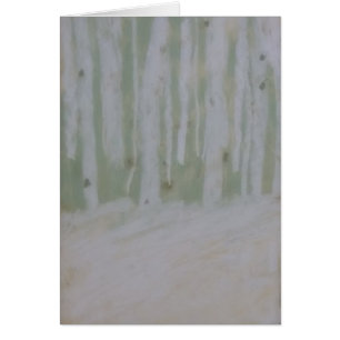 Beautiful Birches on Snow-Softened Forest Floor
