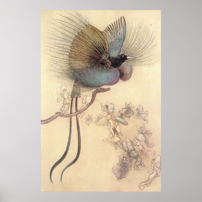 Beautiful Bird of Paradise by Warwick Goble Poster (Front)
