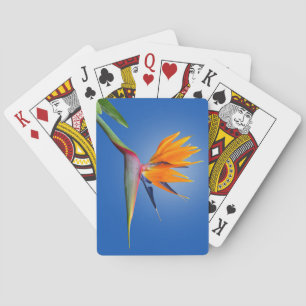 Beautiful Bird of Paradise Strelitzia Flower Playing Cards
