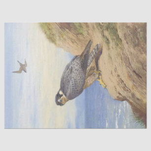 Beautiful Bird Peregrine Falcon Decoupage Tissue Paper
