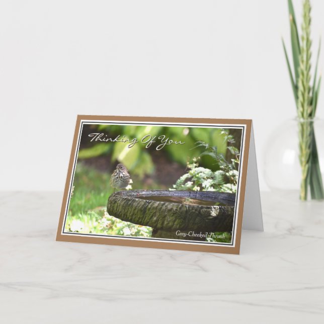 Beautiful Bird Thinking of You Greeting Card (Front)