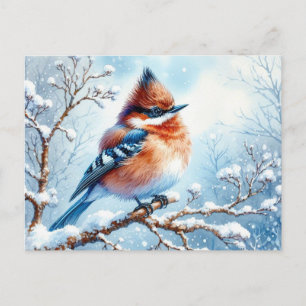 Beautiful Bird White Painting Postcard