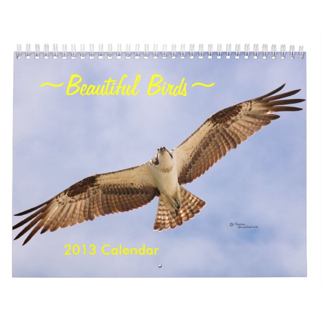 Beautiful Birds 2016 Calendar (Cover)