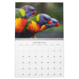 Beautiful Birds Calendar