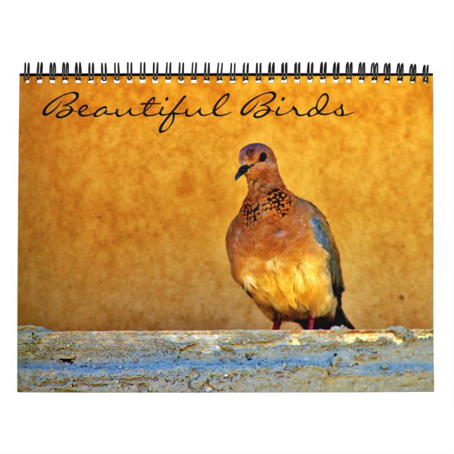 Beautiful Birds Calendar (Cover)