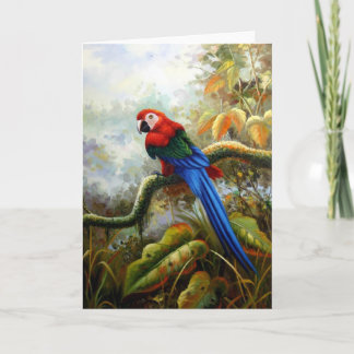 beautiful birds greeting cards 06
