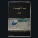Beautiful Birds Nature Photography Birders 2026 Calendar<br><div class="desc">A beautiful, colourful, custom, full year, home office school shop business wall calendar, featuring strikingly beautiful photographs of wild birds in their habitat. The birds featured include rusty cheeked scimitar babbler, eurasian collared dove, golden-fronted leafbirds, great blue heron, Indian jungle myna, Indian pond heron, white-throated kingfisher, rose-ringed parakeet, spotted dove,...</div>