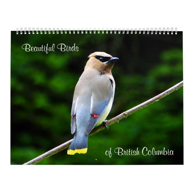 Beautiful Birds, of British Columbia Calendar (Cover)