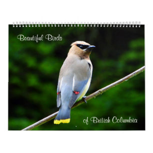 Beautiful Birds of British Columbia Calendar