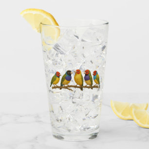 Beautiful birds on the branch glass