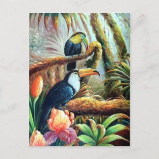 beautiful birds postcards 04