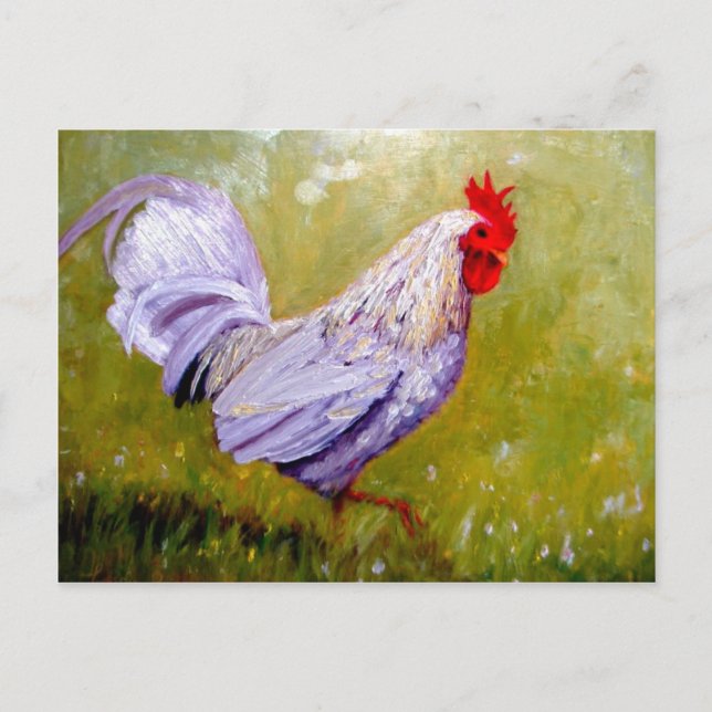 beautiful birds postcards 12 (Front)