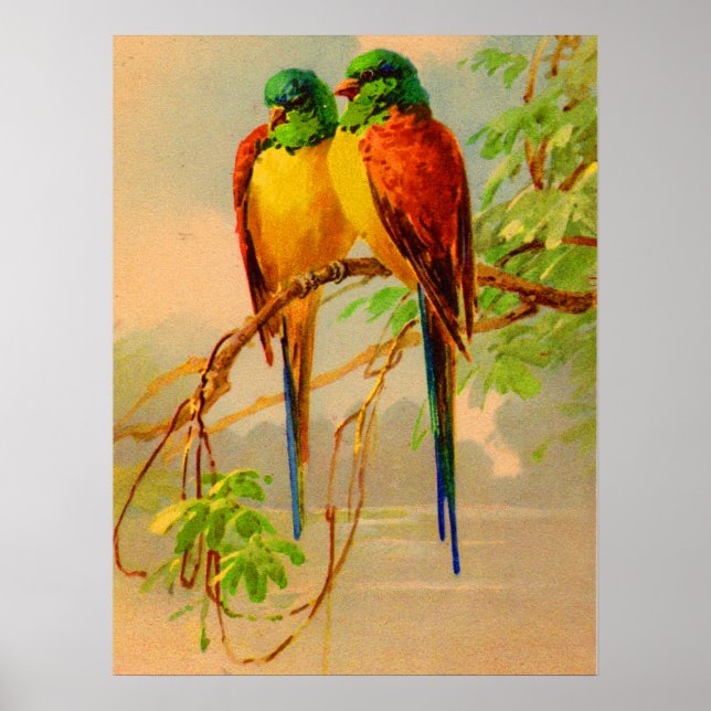 beautiful birds print (Front)