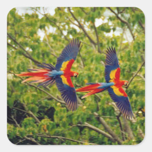 Beautiful Birds Sticker Set