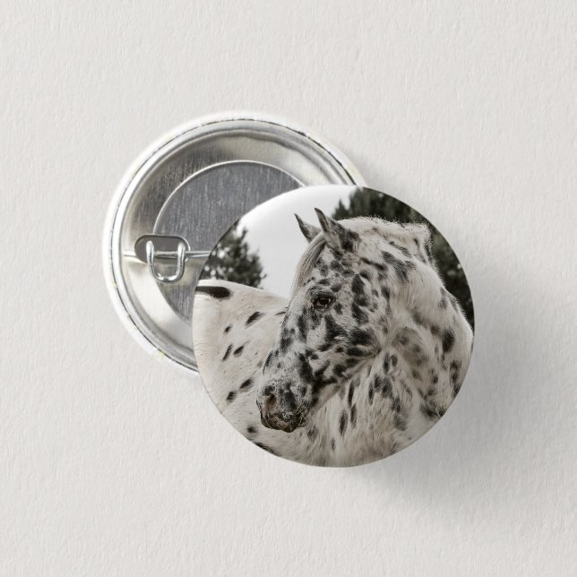 Beautiful Black and White Appaloosa Horse 1 Inch Round Button (Front & Back)