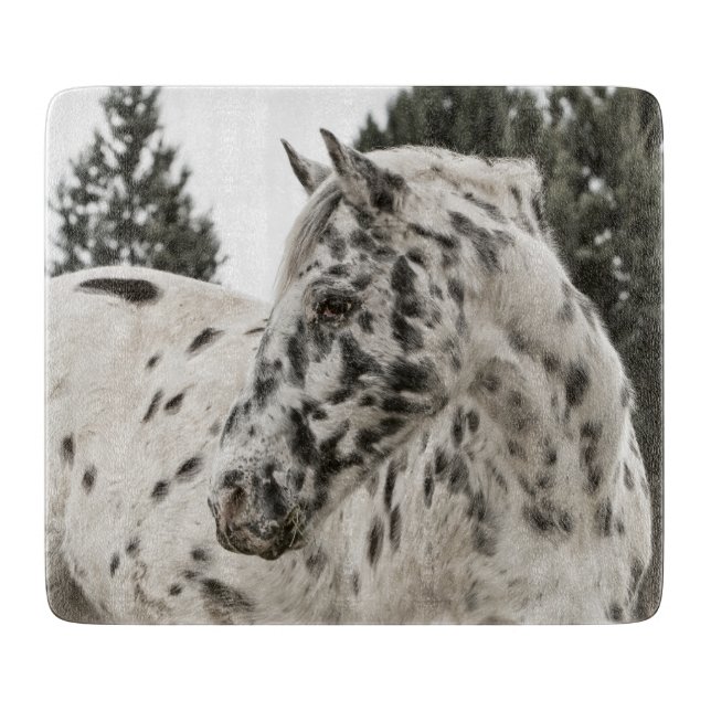 Beautiful Black and White Appaloosa Horse Cutting Board (Front)