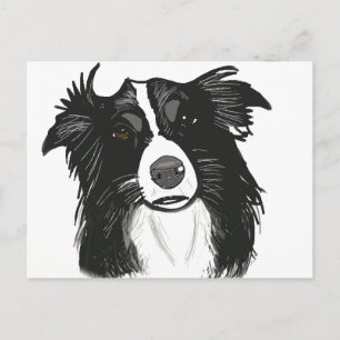 Beautiful Black and White Border Collie Postcard