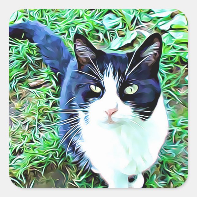 Beautiful Black and White Cat Stickers (Front)