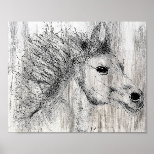 Beautiful Black and White Horse Sketch Poster (Front)