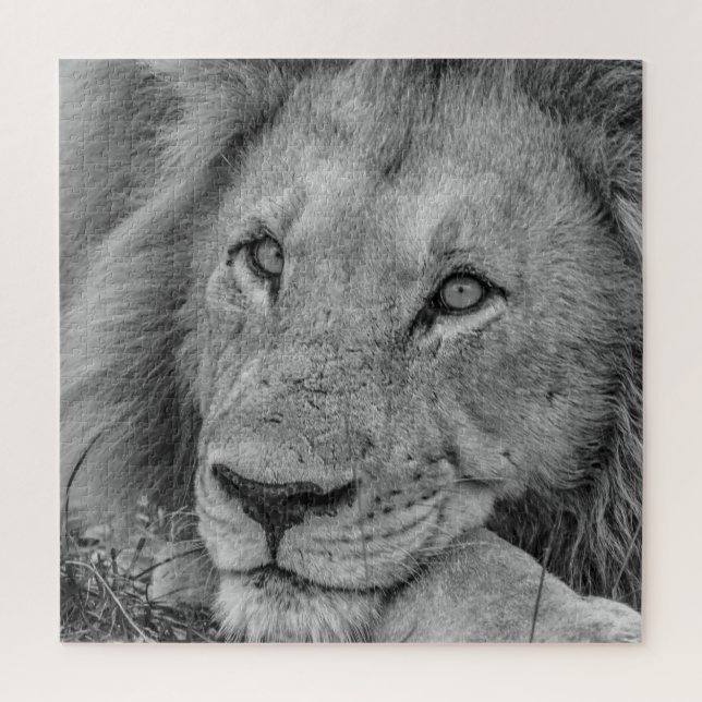 Beautiful Black and White Lion Face Photo Jigsaw Puzzle (Vertical)