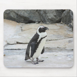 Beautiful Black and White Penguin on the Rocks Mouse Pad