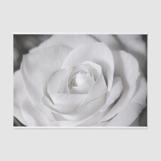 Beautiful Black and White Rose Tissue Paper (Front)