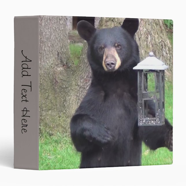 Beautiful Black Bear Binder (Front/Spine)