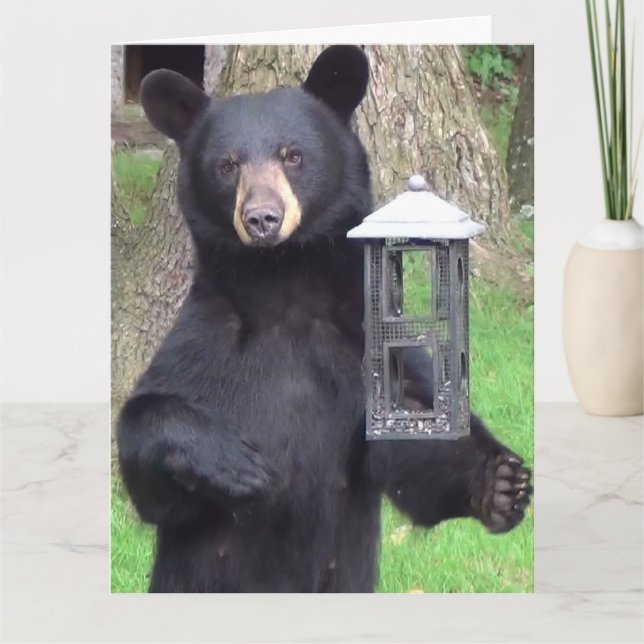 Beautiful Black Bear Enjoying Snack Card (Front)