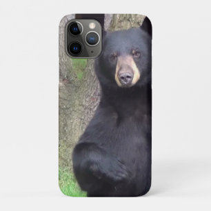Beautiful Black Bear Enjoying Snack iPhone 11 Pro Case