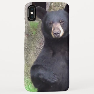 Beautiful Black Bear Enjoying Snack iPhone XS Max Case