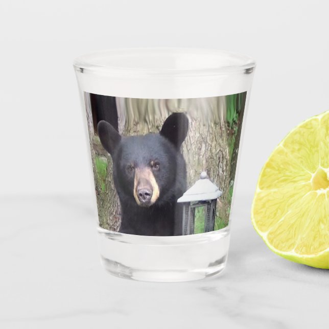 Beautiful Black Bear Shot Glass (Front)