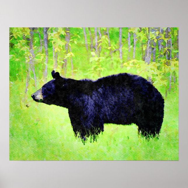 Beautiful Black Bear Wildlife Watercolor Paintings Poster (Front)