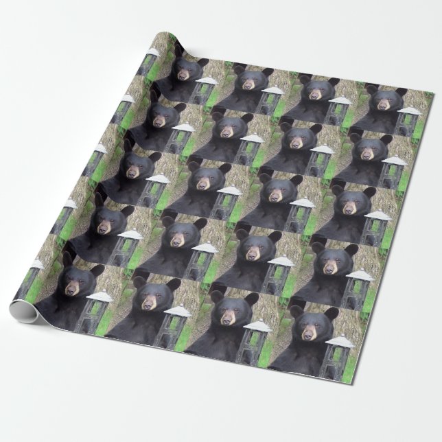 Beautiful Black Bear Wrapping Paper (Unrolled)
