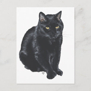Beautiful Black Cat Postcard