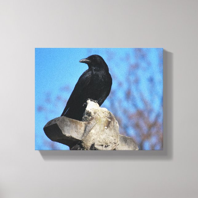 Beautiful Black Crow Canvas Print (Front)