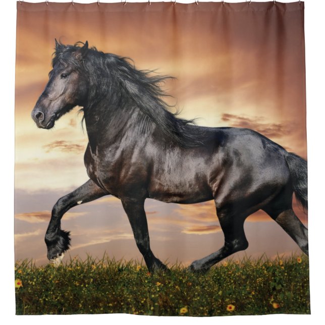 Beautiful Black Horse (Front)