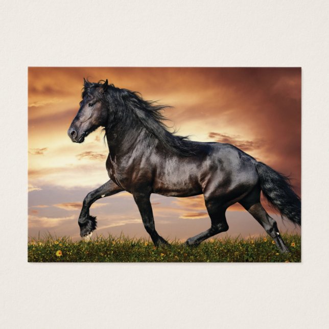 Beautiful Black Horse (Front)