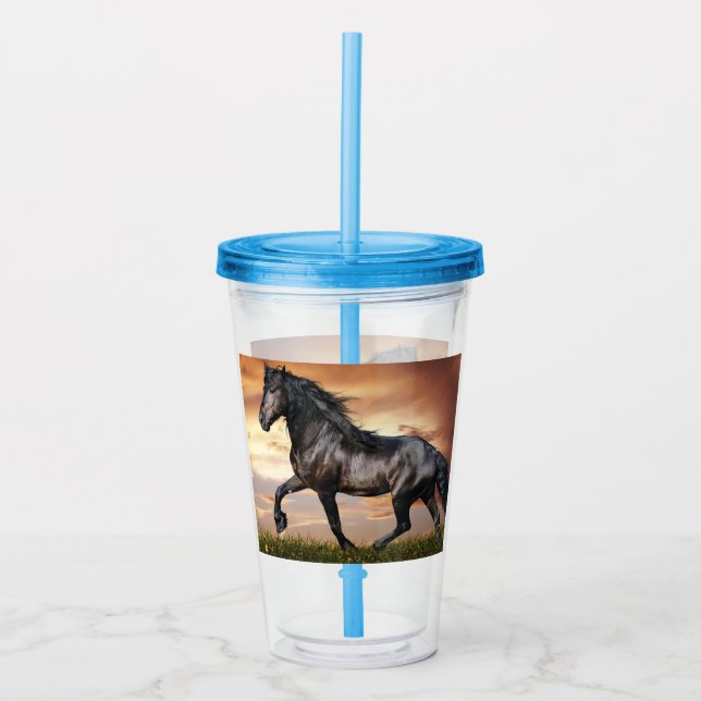 Beautiful Black Horse Acrylic Tumbler (Front)