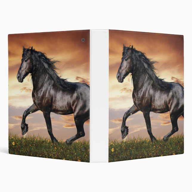 Beautiful Black Horse Binder (Background)