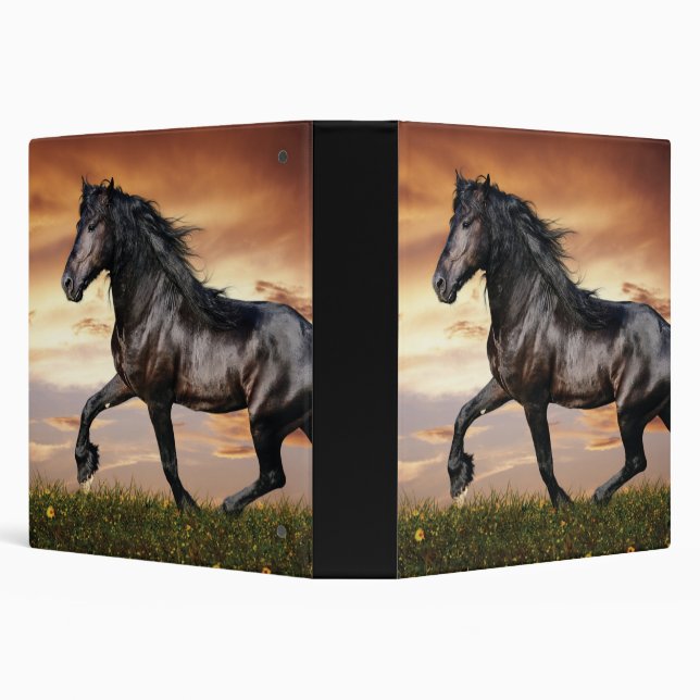 Beautiful Black Horse Binder (Background)
