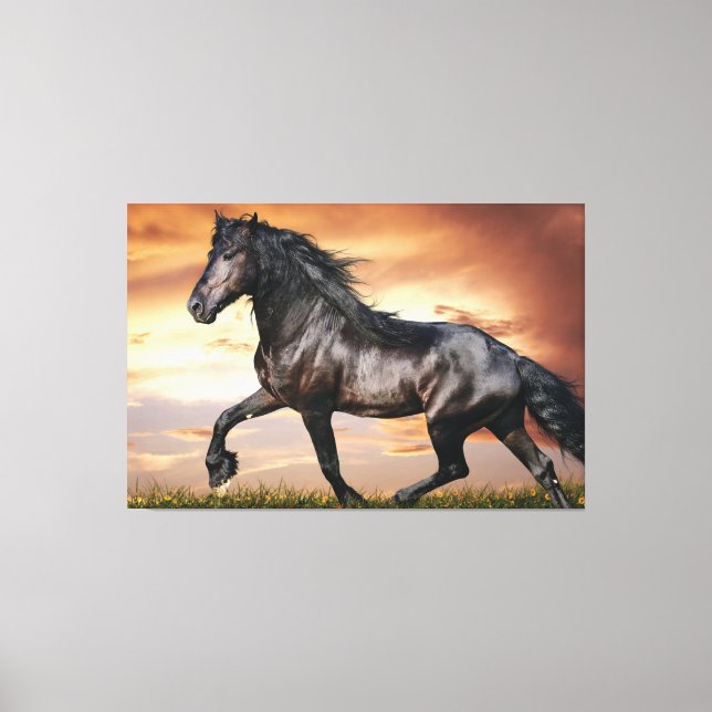 Beautiful Black Horse Canvas Print (Front)